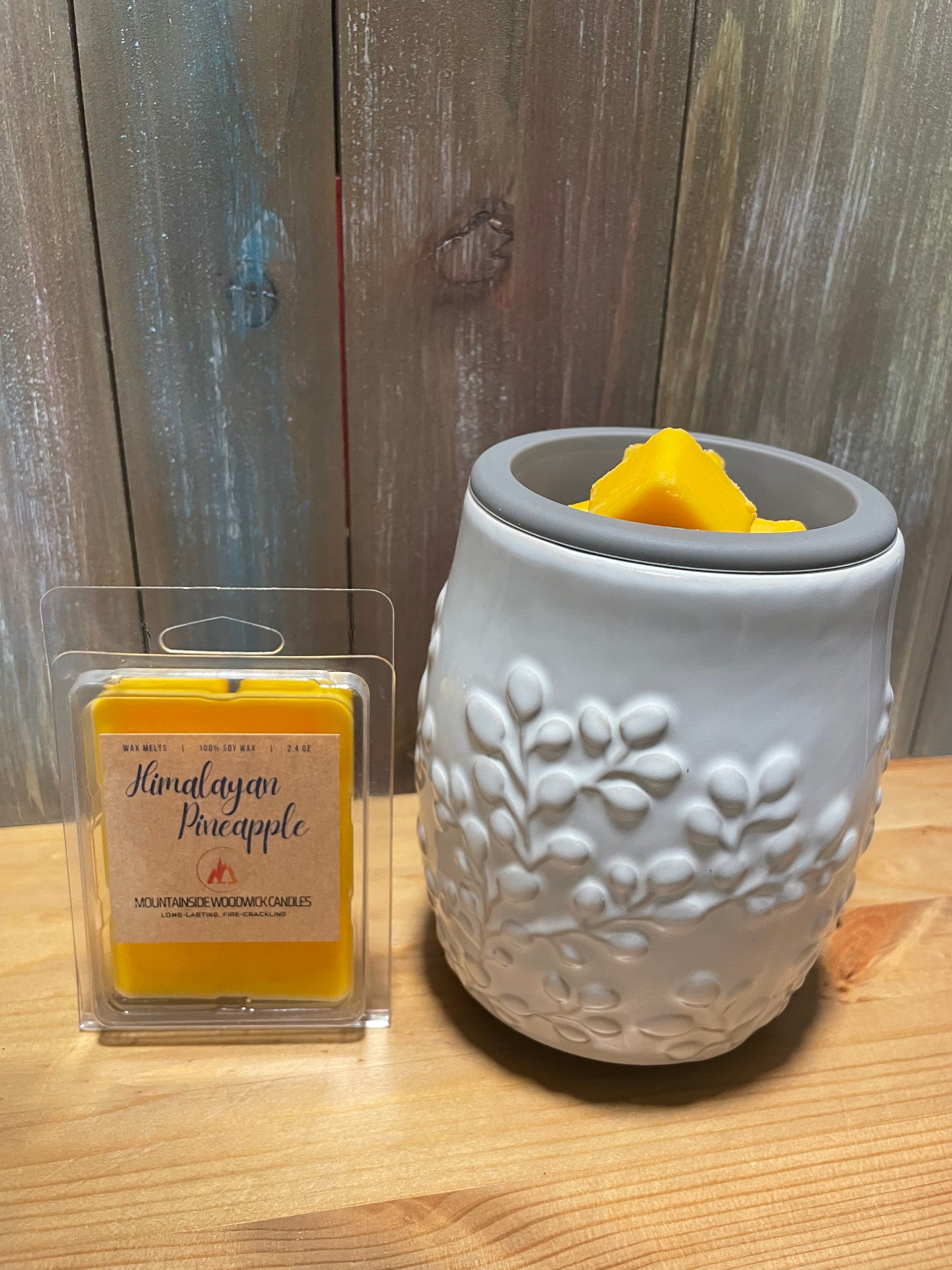 Electric Wax Melter, Burner and Warmer by Woodwick